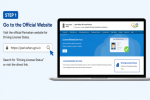Driving License Status