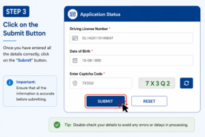 Driving License Status